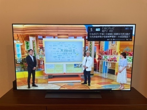TOSHIBA REGZA 有機EL 55インチ