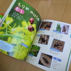 ３歳のえほん百科の画像