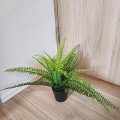 【キャンセル待ち】IKEA FEJKA 4個セットの画像
