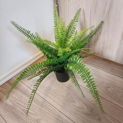 【キャンセル待ち】IKEA FEJKA 4個セットの画像