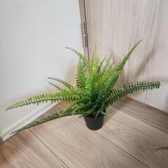 【キャンセル待ち】IKEA FEJKA 4個セットの画像