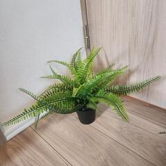 【キャンセル待ち】IKEA FEJKA 4個セットの画像