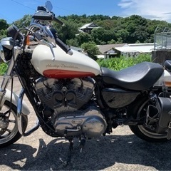 Harley-Davidson XL８８３L売ります。現在交渉中の画像