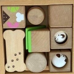 ウッディプッディはじめてのつみき　こいぬのかくれんぼ