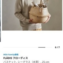 終了　IKEA  人工観葉植物 モンステラ +ラタンバスケットの画像