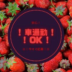 収入・休み・環境の3拍子で快適勤務♪倉庫内作業スタッフ！日払いOK◎日勤＆週休2日★シニア応援♪【nk】A24A0018-7(5)の画像