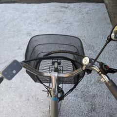 電動アシスト三輪自転車TDR-163L Natural Flowの画像