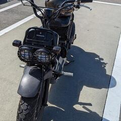 HONDA ZOOMER 50 ズーマー 原付バイク キャブ カ...