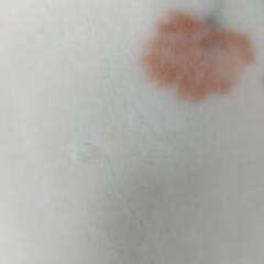 マイヤー毛布2枚の画像