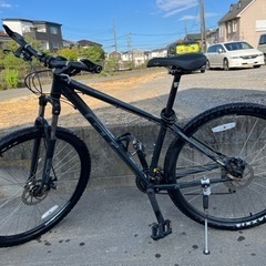 GT カラコラム　29インチ