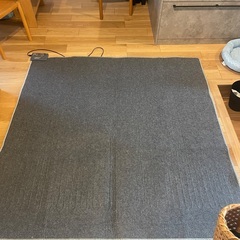 無料　ニトリ　ホットカーペット　175 cm x 175 cm