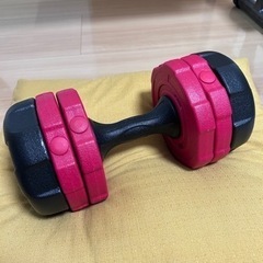 ダンベル 2つ 重さ調節可能 