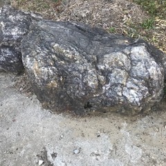 庭の石譲りますの画像
