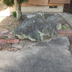 庭の石譲りますの画像