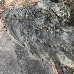 庭の石譲りますの画像