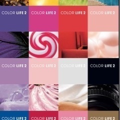 ガラケー 携帯電話 SoftBank COLORLIFE2 本体の画像