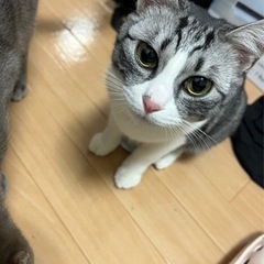 お目目がくりくりの甘えん坊  （決まりました）