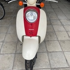 honda scoopy