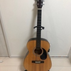 アコースティックギター の画像