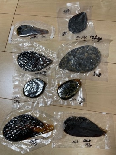 熊の胆嚢　ヒグマ