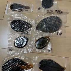 熊の胆嚢 ヒグマ