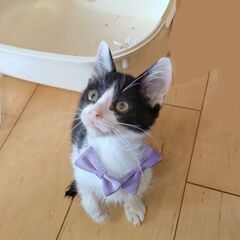 ちびっこルームに是非見にきてね