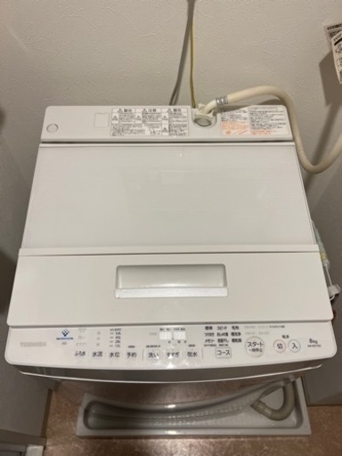 TOSHIBA 東芝電気洗濯機 AW-8D7 2019年製
