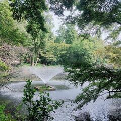 散歩友達 - 大田区