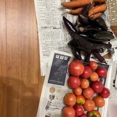 野菜セット　ナス、トマト、人参