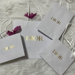新品　未使用　美品　ディオール　ショッパー　紙袋　持ち帰りのみの画像
