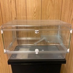 GEXグラスハーモニー450(値下げ)