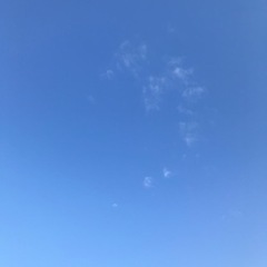 海が好き、サーフィン - 横浜市