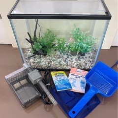 水槽　まとめ売り