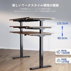 【値下げ‼️】フレキシスポット/FLEXISPOT/E7 【異音...