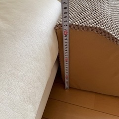 犬　猫　スロープの画像