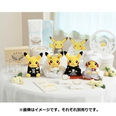 【新品未使用】木箱入り ペアグラスセット Pokémon Garden Weddingの画像