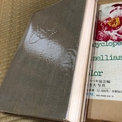 現代椿集　日本ツバキ協会編　冨成忠夫写真の画像