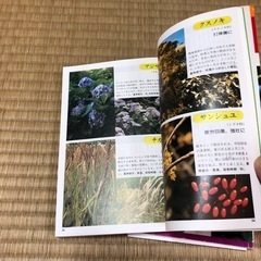 薬草カラー図鑑、続薬草カラー図鑑の画像