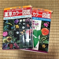 薬草カラー図鑑、続薬草カラー図鑑