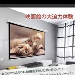 【日程確定早い者勝ち】電動ロールスクリーン　100インチ