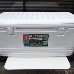 【即納!! / 新品・未使用品】 igloo（イグルー）　ポーラ...