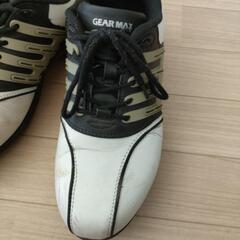 ゴルフシューズの画像