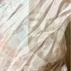PANPIGALLE パンピガーレ　タツミヤ購入　13号　LLサイズの画像