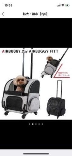 エアバギー　fitt アースグレー