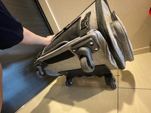 エアバギー　fitt アースグレー