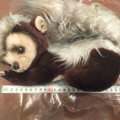 スカンクのぬいぐるみ