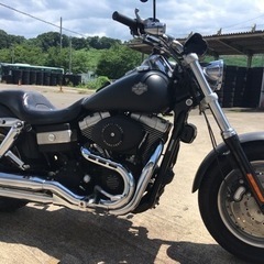 HARLEY-DAVIDSON   FXDF DYNA FATBOB 2008年式の画像