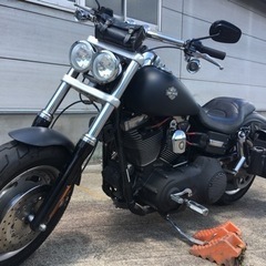 HARLEY-DAVIDSON   FXDF DYNA FATBOB 2008年式の画像