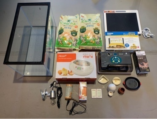 コールダックなどの孵化セット、お売りします。