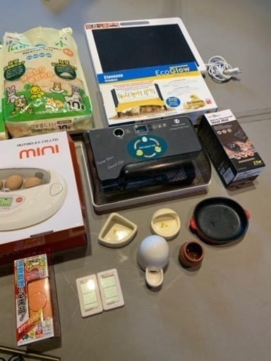 コールダックなどの孵化セット、お売りします。